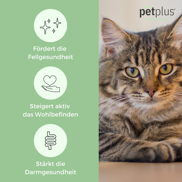 petplus® Katzenwohl (250g)