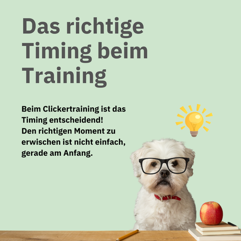 Trainings-Klicker