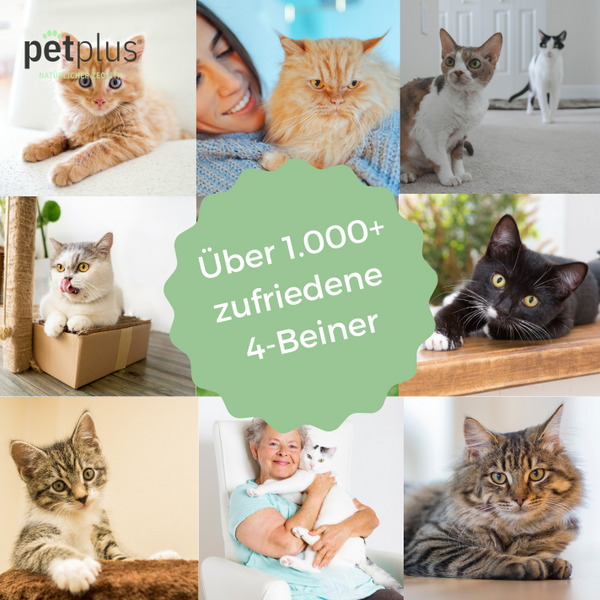 petplus® Katzenwohl (250g)